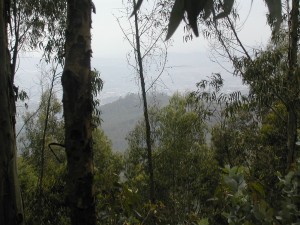 DSCN5729