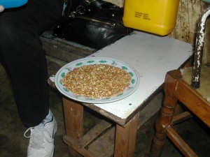 DSCN5751