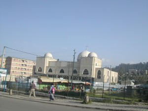 DSCN5779