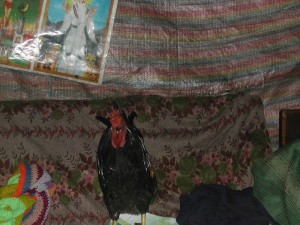 DSCN5795