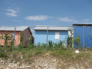 IMG_2537