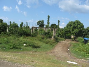 IMG_2546