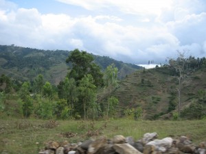 IMG_2559