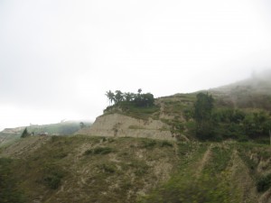 IMG_2561