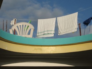 IMG_2568