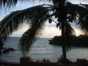 IMG_2735