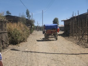 IMG_3628