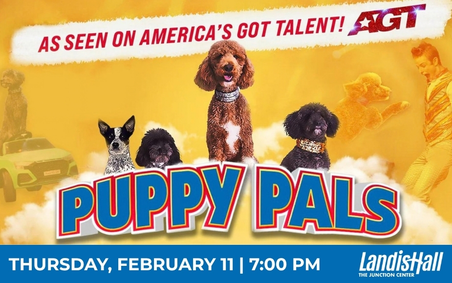 Puppy Pals Live – The Action-Packed Comedic Stunt Dog Show
