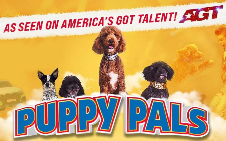 Puppy Pals Live – The Action-Packed Comedic Stunt Dog Show